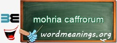 WordMeaning blackboard for mohria caffrorum